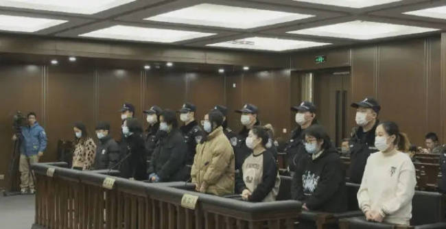 假冒靳东诈骗案一审判决 8名被告人被判有期徒刑